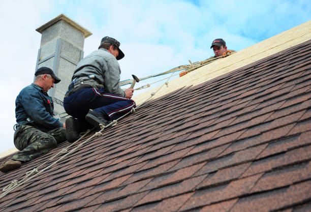 Best Local Roofing Companies  in Santa Moni, CA